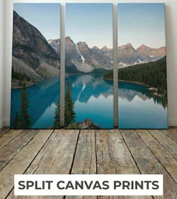 Split Canvas Prints